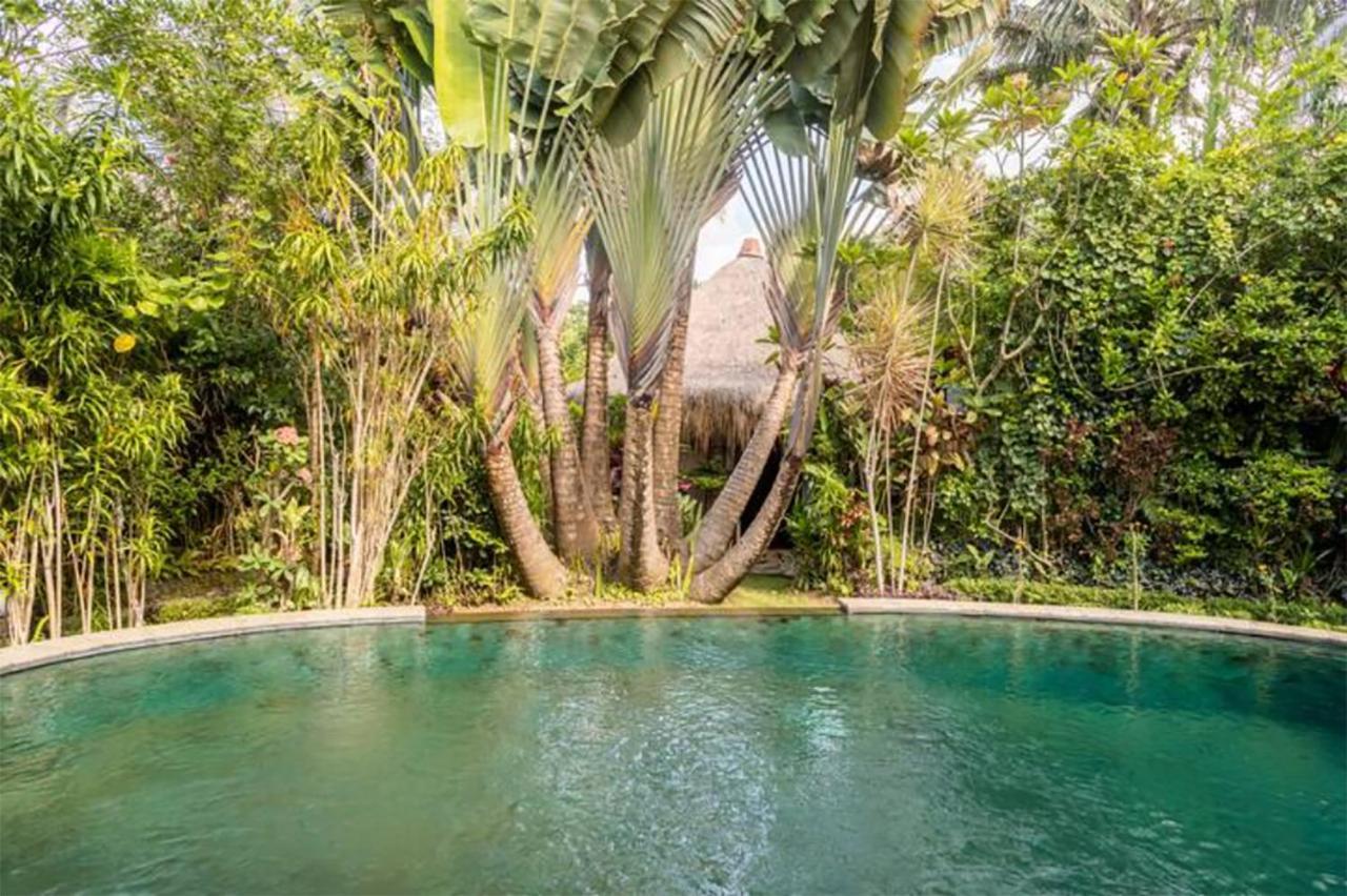 Rumah Semanggi Ubud  Exterior photo