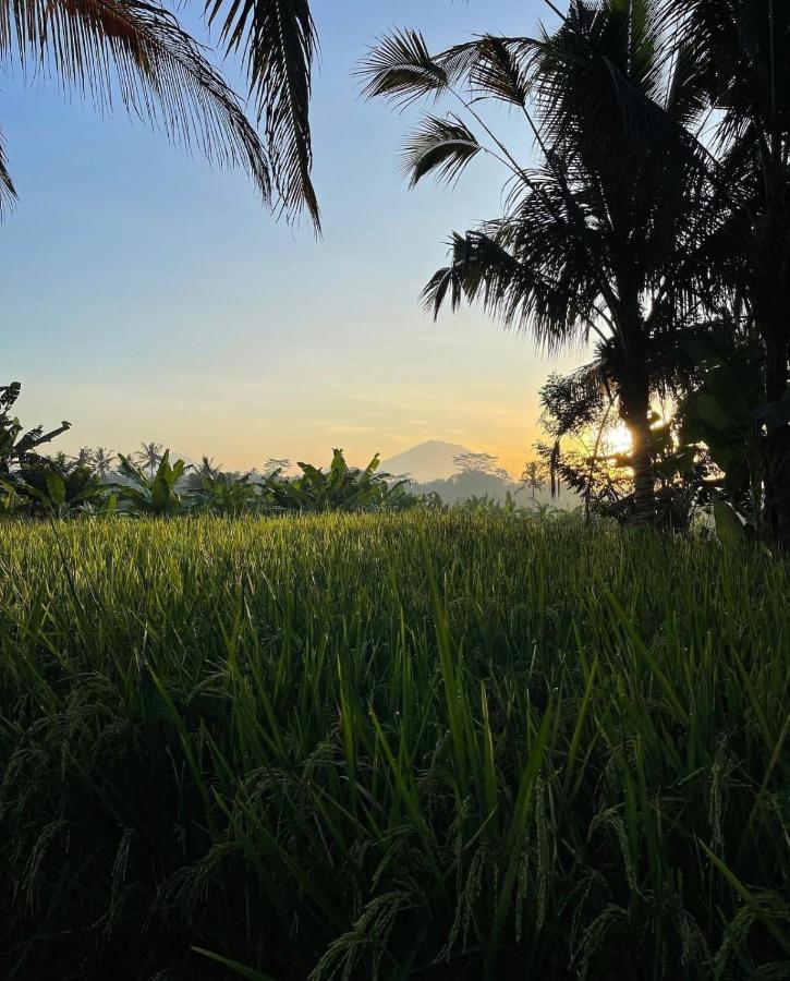 Rumah Semanggi Ubud  Exterior photo